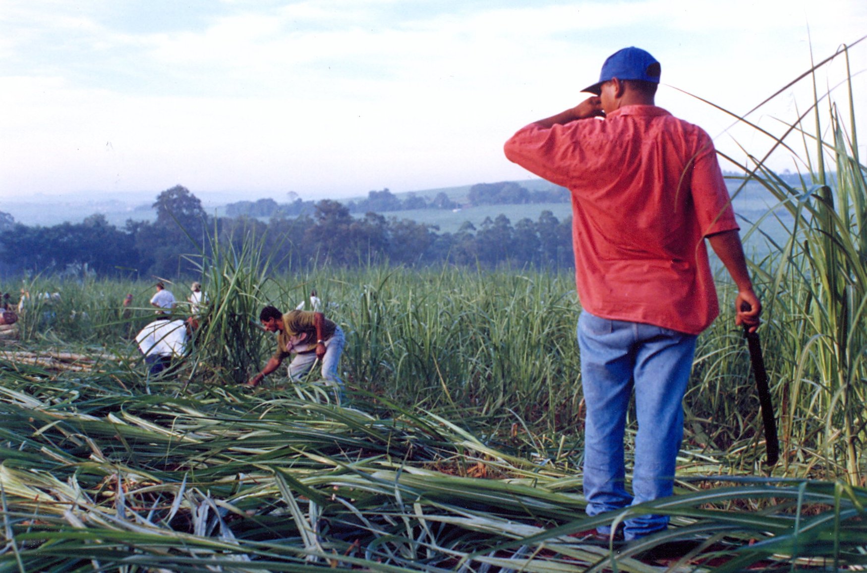 Intel(R) JPEG Library, version [1.51.12.44]