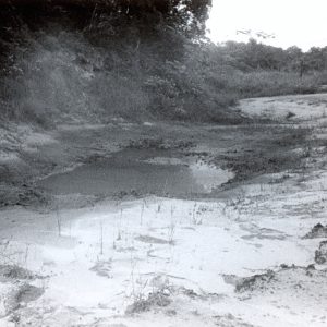 Encontro sobre poluição gerada pela Rhodia na baixada santista em julho de 1994_1